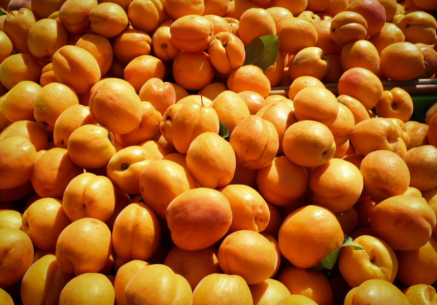 Otago Farmers Market
