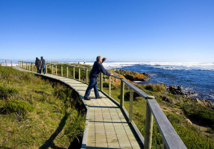 Tarkine Drive thumbnail