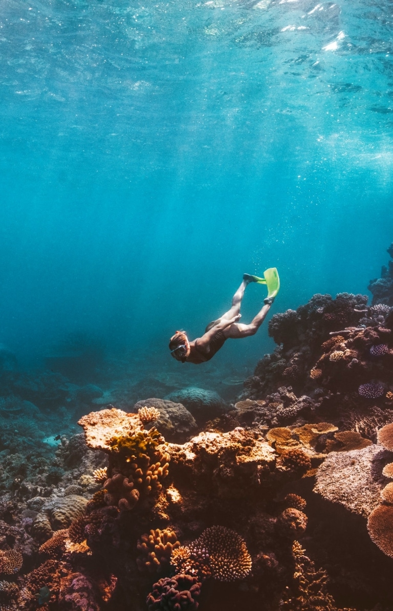 Rạn san hô Great Barrier, Queensland © Tourism Tropical North Queensland